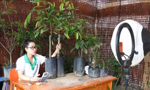 Mở rộng đầu ra nông sản nền tảng thương mại điện tử