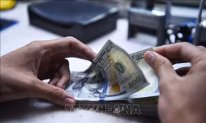 Tỷ giá hôm nay 27/11: Điều chỉnh tăng giá bán ra USD và NDT