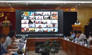 Xây dựng mạng lưới chuyên gia, trí thức kiều bào trong các lĩnh vực công nghệ chiến lược