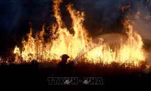 Cháy rừng dữ dội tại Thái Lan