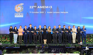 ASEAN thông qua sáng kiến hỗ trợ các dự án lưới điện xuyên biên giới
