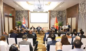 Thủ tướng và Bí thư thứ Nhất, Chủ tịch nước Cuba gặp gỡ doanh nghiệp hai nước
