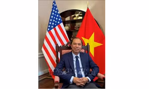 Cuộc gặp giữa Bộ trưởng Nguyễn Hồng Diên và Trưởng Đại diện Thương mại Hoa Kỳ là thực chất và hiệu quả