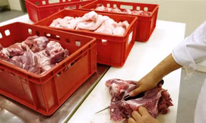 Trung Quốc có thể áp thuế chống bán phá giá tạm thời đối với thịt lợn nhập khẩu từ EU