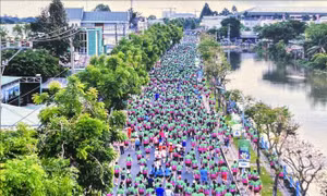 Giải Marathon 'Đất Sen Hồng' thu hút trên 12.000 vận động viên