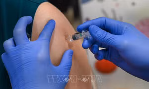 Cân nhắc điều chỉnh vaccine ngừa COVID-19 đối phó với biến thể mới Omicron 