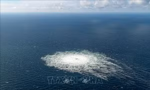 Hạ viện Nga thông qua kiến nghị HĐBA LHQ điều tra vụ nổ Dòng chảy phương Bắc