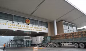 Nghị định 46 - Không phải cái cớ để xuyên tạc thành ‘lỗi hệ thống’