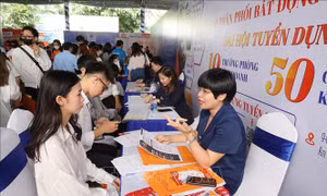 Thành phố Hồ Chí Minh tuyển dụng hơn 5.200 vị trí việc làm chuyên ngành kinh tế 