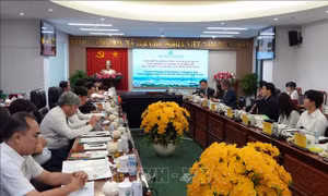 Vĩnh Long đề xuất hợp tác phát triển khu công nghiệp nông nghiệp công nghệ cao với Singapore