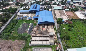 Tây Ninh: Phối hợp kiểm tra, xử lý nhà máy sản xuất tinh bột sắn hoạt động trái phép