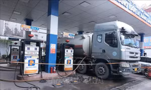 Hà Nội kiểm soát chặt thị trường xăng dầu, nguồn cung ổn định
