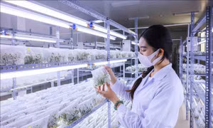 Đẩy mạnh đổi mới sáng tạo, nâng cao năng lực cạnh tranh quốc gia