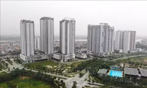 Những quy định mới trong kinh doanh bất động sản 