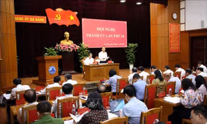 Đà Nẵng thúc đẩy tăng trưởng kinh tế, đảm bảo an sinh xã hội 
