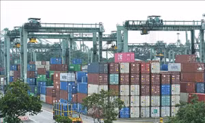 Thương mại Việt Nam - Singapore tiếp tục tích cực