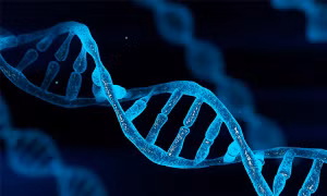 Nghiên cứu thành công gene chịu tác động của du hành vũ trụ