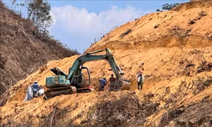 Trượt ngã trên vườn sầu riêng, 1 người bị máy xúc cán tử vong