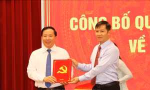 Đồng chí Nguyễn Văn Út được bầu làm Chủ tịch UBND tỉnh Đồng Nai