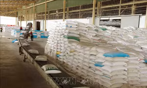 Thứ trưởng Trần Quốc Phương: Kiên định mục tiêu, phấn đấu tối đa để đạt kết quả tốt nhất