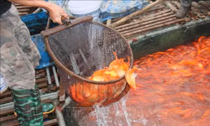 Cá chép cúng ông Công, ông Táo đắt hàng, được giá