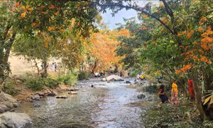 Hàng nghìn du khách thích thú hòa mình với Lễ hội hoa trang suối Tà Má (Bình Định)