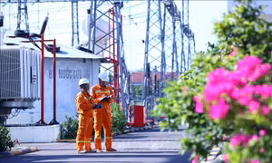 Vận hành thông suốt lưới truyền tải điện cho mục tiêu tăng trưởng hai con số