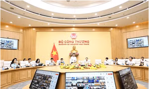 Bộ Công Thương sẽ có đường dây nóng tiếp nhận vướng mắc về phân quyền, phân cấp 