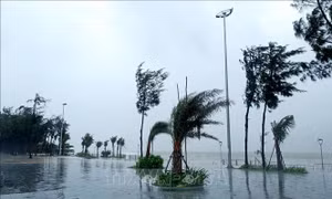 Tập trung chủ động ứng phó với bão số 12 và mưa lớn lũt, sạt lở đất