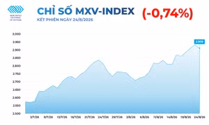 Diễn biến giằng co trên thị trường hàng hóa, MXV-Index quay đầu giảm nhẹ