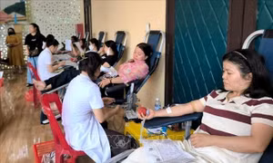 Những giọt máu nghĩa tình trao gửi yêu thương giữa đại ngàn