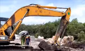 Nghị quyết về dự án sửa đổi của Pháp lệnh Cảnh sát môi trường