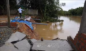 Thấp thỏm nỗi lo sạt lở bên bờ sông Ngàn Mọ