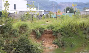 Canh cánh nỗi lo sạt lở bờ sông Phước Giang