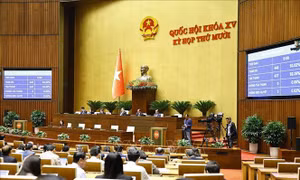Kế hoạch triển khai thi hành Luật Báo chí