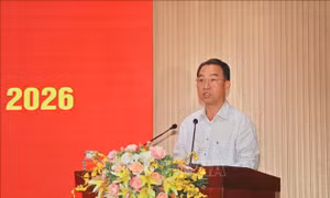 Phê chuẩn kết quả bầu, miễn nhiệm chức vụ Chủ tịch UBND tỉnh Cà Mau