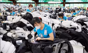 Sửa đổi Luật Hỗ trợ doanh nghiệp nhỏ và vừa: Tạo khuôn khổ pháp lý đồng bộ và hiệu quả hơn