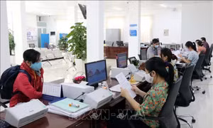 Giảm tối thiểu 20% công chức, viên chức hưởng lương từ ngân sách nhà nước