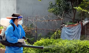 Ca mắc sốt xuất huyết tăng cao, vận động người dân cùng chống dịch