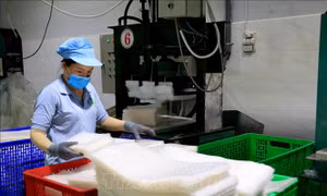 Nghị quyết 68-NQ/TW: Tăng năng suất trong doanh nghiệp nhỏ và vừa