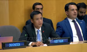 Việt Nam đề nghị LHQ tăng cường hỗ trợ các nước đang phát triển trong chuyển đổi năng lượng 