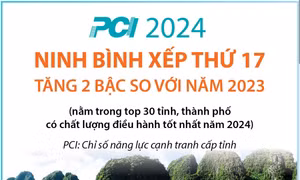 PCI năm 2024: Ninh Bình xếp thứ 17, tăng 2 bậc so với năm 2023