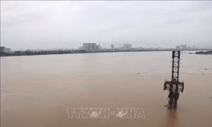 Hà Nội: Báo động mực nước tại một số sông lên nhanh