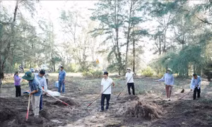 Quảng Ngãi: Thu gom thảm mục ngăn nguy cơ cháy rừng phòng hộ ven biển