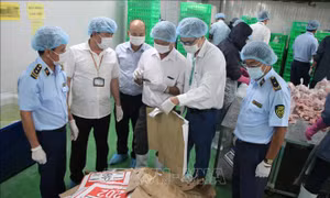 Hậu Giang: Kiểm tra đột xuất, xử lý nghiêm kinh doanh hàng lậu, hàng giả, kém chất lượng