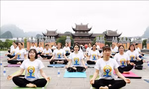 Yoga góp phần xây dựng một trái đất, một sức khỏe chung