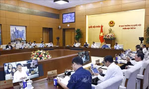 Giám sát chỉ ra các văn bản pháp luật chưa phù hợp