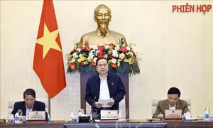 Tổng kết Kỳ họp thứ 8 và cho ý kiến về chuẩn bị Kỳ họp thứ 9, Quốc hội khóa XV