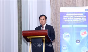 Bổ nhiệm chức Phó Chủ tịch Viện Hàn lâm Khoa học và Công nghệ Việt Nam