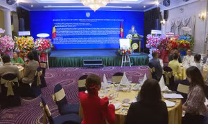 Thúc đẩy quan hệ hợp tác hữu nghị Việt Nam - Rumani